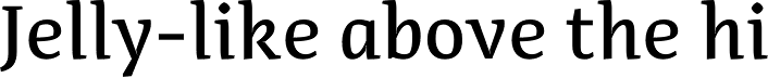 Adagio Serif Script Medium