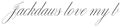 Bellissima Script Pro