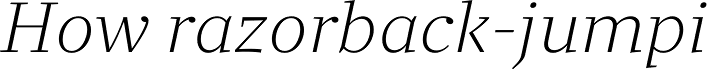 Clara Serif Light Italic