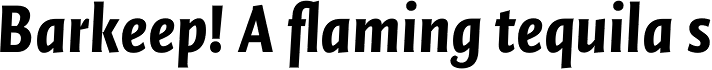 FF Quadraat Sans OT Condensed Black Italic