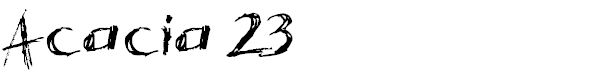 Acacia 23
