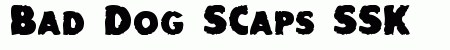 Bad Dog SCaps SSK