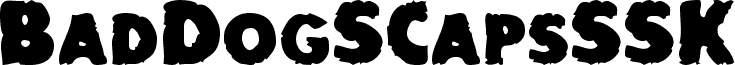 BadDogSCapsSSK, Bold
