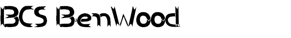 BCS BenWood