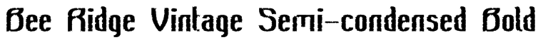 Bee Ridge Vintage Semi-condensed Bold