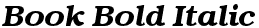 Book Bold Italic