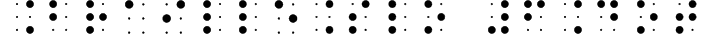 BrailleSlo 6Dot