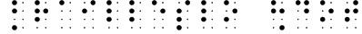 BrailleSlo 8dot