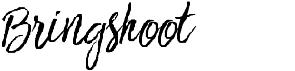 Bringshoot