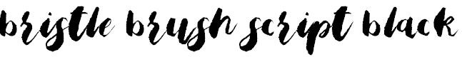 Bristle Brush Script
