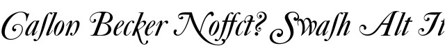 Caslon Becker No540 Swash Alt Italic