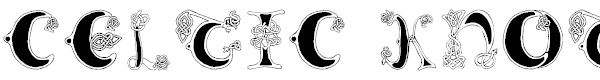 Celtic Knot