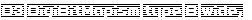 D3 DigiBitMapism type B