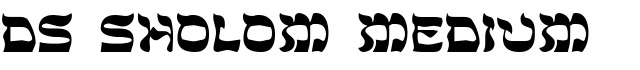 DS Sholom Medium