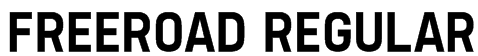 Freeroad Regular
