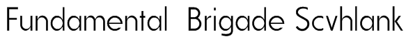 Fundamental Brigade Scvhlank