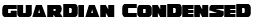Guardian Condensed