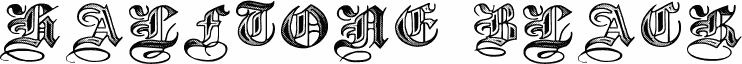 Halftone Black DemiBold