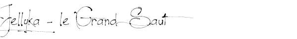 Jellyka - le Grand Saut Textual