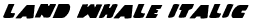 Land Whale Italic