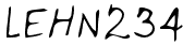 LEHN234