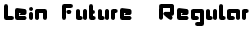 Lein Future, Regular