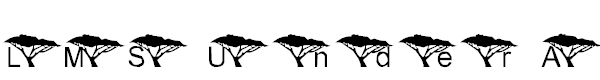 LMS Under An Acacia Tree
