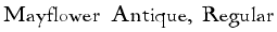 Mayflower Antique, Regular