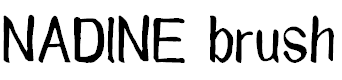 NADINE brush