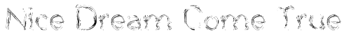 Nice Dream Come True