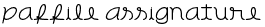 PaFFile Assignature
