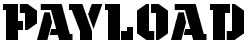 Payload