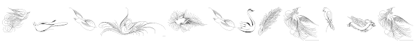 Penmanship Birds
