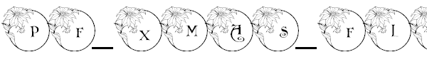 PF Xmas Flower 1
