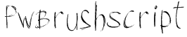 PW Brush Script