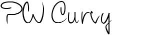 PW Curvy regular script