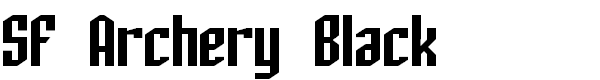 SF Archery Black