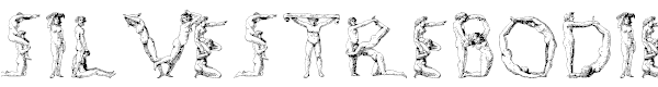 Silvestre Bodies