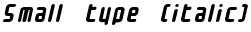 Small type (italic)