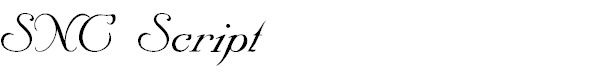 SNC Script