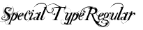 Special TypeRegular