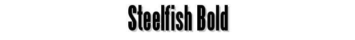 Steelfish Bold