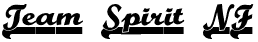 Team Spirit NF
