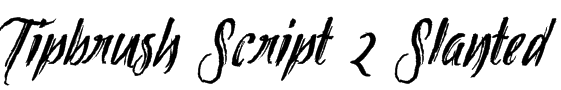 Tipbrush Script 2 Slanted