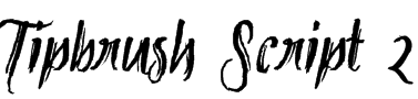 Tipbrush Script 2