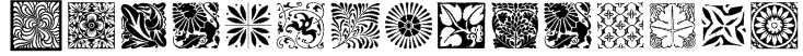 Typo Backgrounds