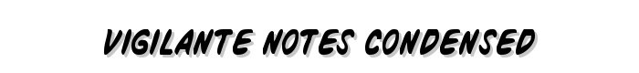 Vigilante Notes Condensed