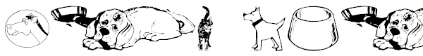 wmanimals1