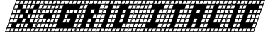 X-Grid Italic