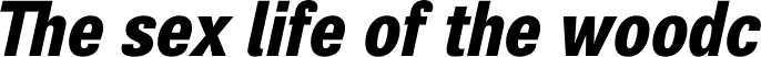 Air Condensed Black Oblique